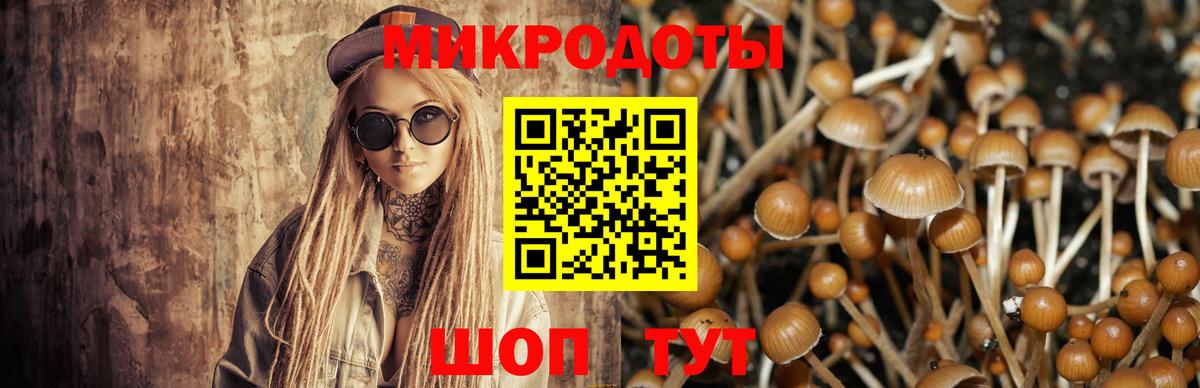 Галлюциногенные грибы GOLDEN TEACHER  Вход с VPN  Ачхой-Мартан 